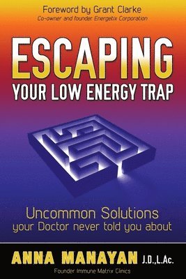 bokomslag Escaping Your Low Energy Trap
