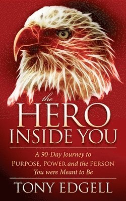 bokomslag Hero Inside You