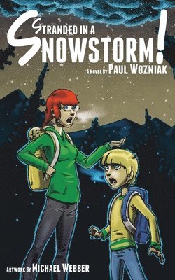 Stranded in a Snowstorm!