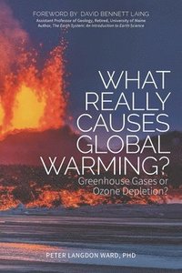 bokomslag What Really Causes Global Warming?