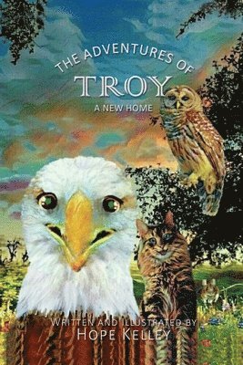 bokomslag Adventures of Troy A New Home