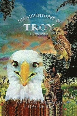 The Adventures of Troy A New Home 1