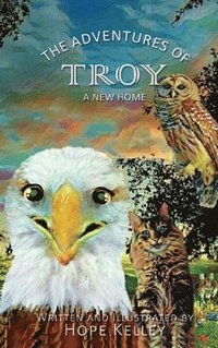 bokomslag Adventures of Troy A New Home