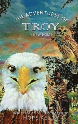 bokomslag The Adventures of Troy A New Home