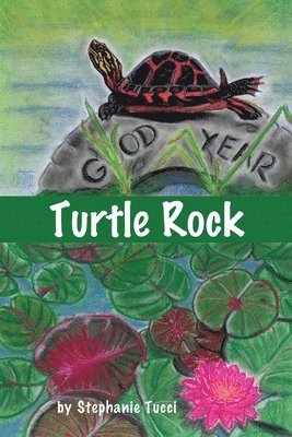 Turtle Rock 1