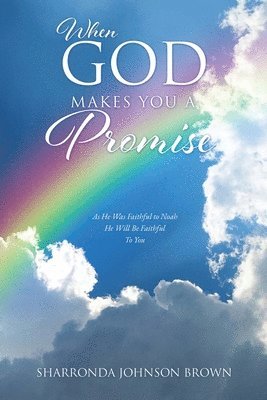 Sharronda Johnson Brown - When God Makes You a Promise, Häftad