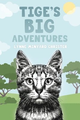 bokomslag Tige's Big Adventures