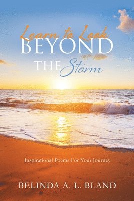 Learn to Look Beyond The Storm 1