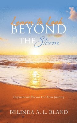 Learn to Look Beyond The Storm 1