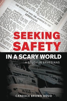 bokomslag Seeking Safety in a Scary World