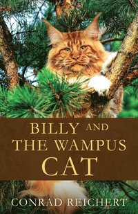 bokomslag Billy and the Wampus Cat