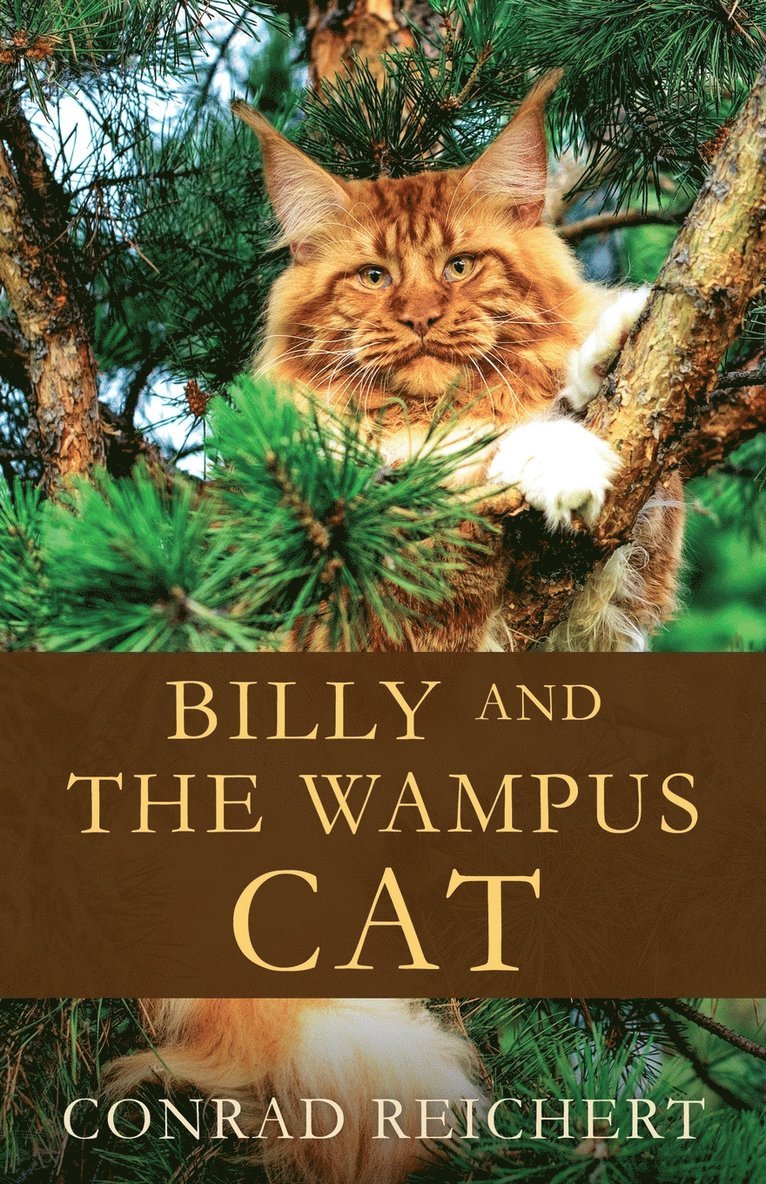 Billy and the Wampus Cat 1