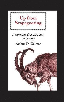bokomslag Up from Scapegoating