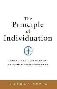 bokomslag Principle of Individuation