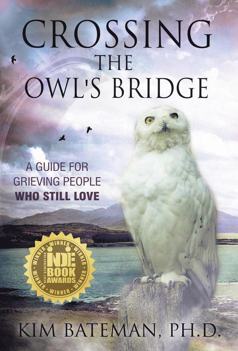 Crossing the Owl's Bridge 1