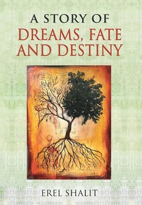 bokomslag Story of Dreams, Fate and Destiny