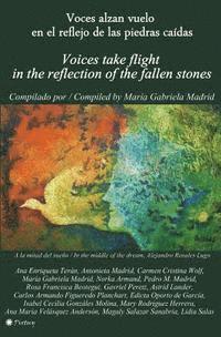 bokomslag Voces alzan vuelo en el reflejo de las piedras caídas: Voices take flight in the reflection of the fallen stones