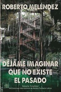 bokomslag Déjame imaginar que no existe el pasado