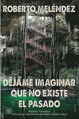 Roberto Melendez - Déjame imaginar que no existe el pasado, Häftad