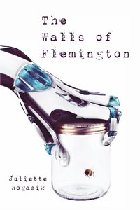 bokomslag The Walls of Flemington