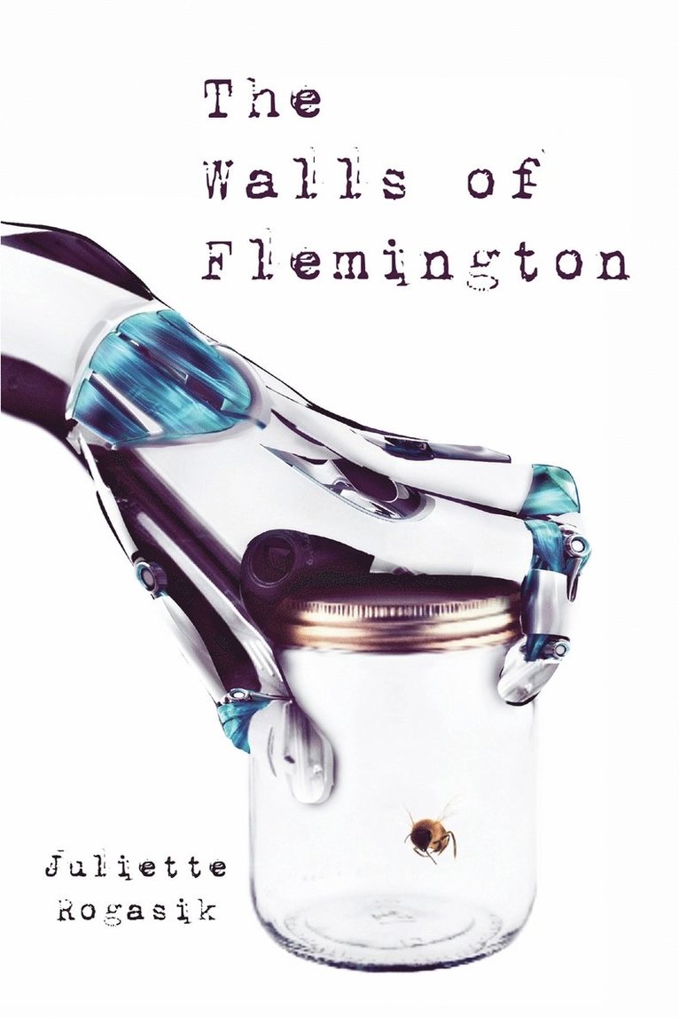 The Walls of Flemington 1