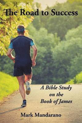 bokomslag Road to Success