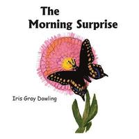 bokomslag The Morning Surprise