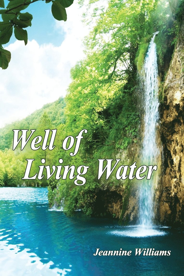 Jeannine Williams - Well of Living Water, Häftad