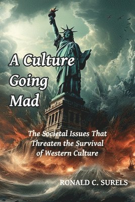 bokomslag A Culture Going Mad