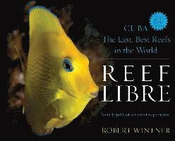 bokomslag Reef Libre