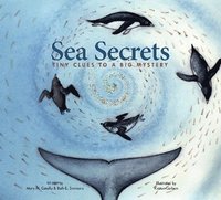 bokomslag Sea Secrets