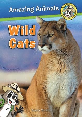 Wild Cats 1