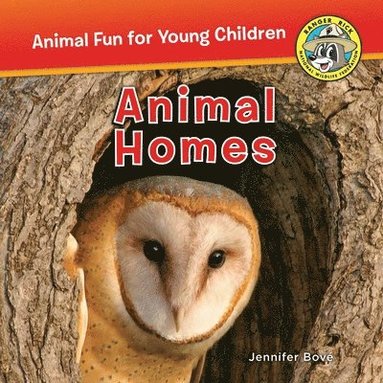Jennifer Bové - Animal Homes, Häftad