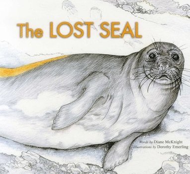 Diane McKnight, Dorothy Emerling - Lost Seal, Häftad