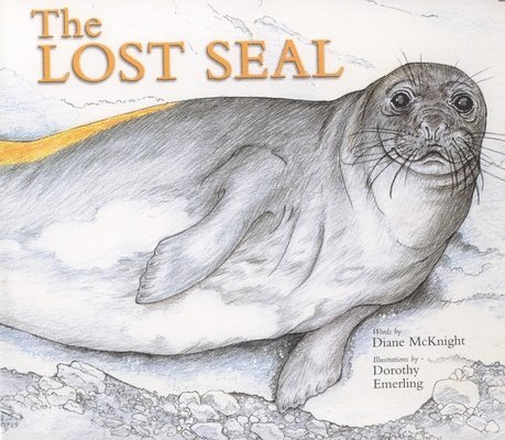 Lost Seal