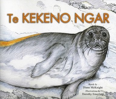 Diane McKnight, Dorothy Emerling - Lost Seal, Häftad