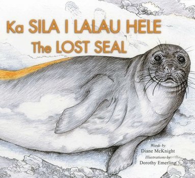 Diane McKnight, Dorothy Emerling - Lost Seal, Häftad