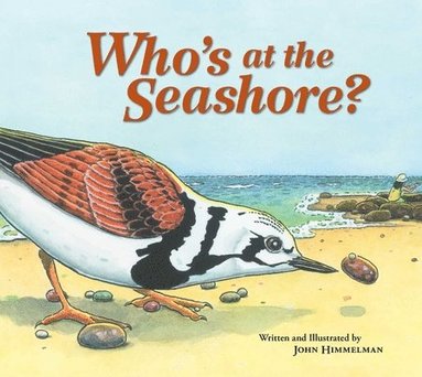John Himmelman - Who's at the Seashore?, Häftad