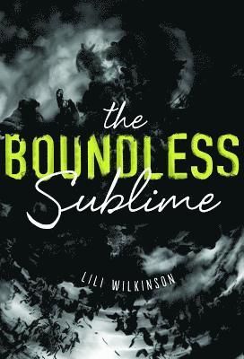 The Boundless Sublime