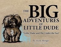 bokomslag The BIG Adventures of Little Dude