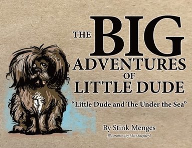 Stink Menges - BIG Adventures of Little Dude, Häftad