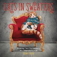 Cats in Sweaters
