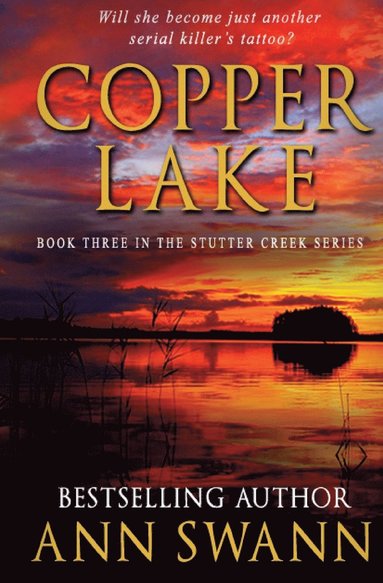 bokomslag Copper Lake
