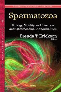 bokomslag Spermatozoa