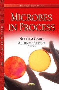bokomslag Microbes in Process