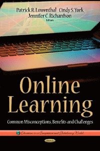 bokomslag Online Learning