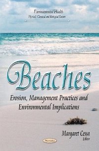 bokomslag Beaches