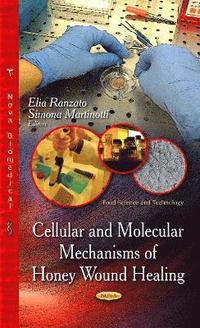 bokomslag Cellular & Molecular Mechanisms of Honey Wound Healing