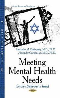 bokomslag Meeting Mental Health Needs