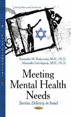 bokomslag Meeting Mental Health Needs
